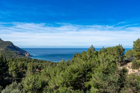 Landejendom i Banyalbufar, Mallorca, Banyalbufar - € 1.600.000 | Ref: 5464 - foto 32