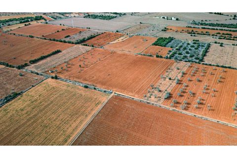 Terra a Campos, Mallorca, Campos - € 260.000 | Ref: 5431 - foto 4