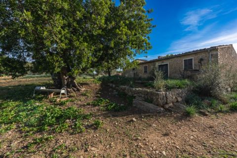 Landejendom i Alaro, Mallorca, Alaro - € 2.200.000 | Ref: 5409 - foto 1