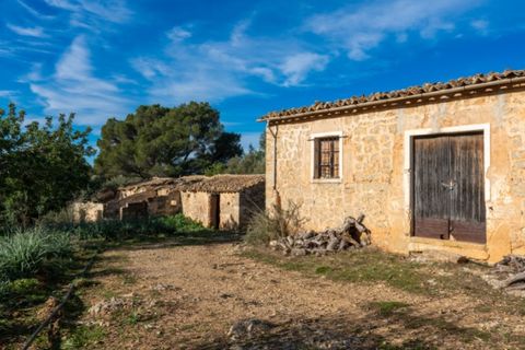 Landejendom i Alaro, Mallorca, Alaro - € 2.200.000 | Ref: 5409 - foto 2