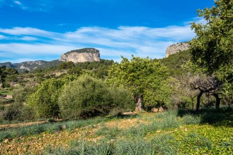 Landejendom i Alaro, Mallorca, Alaro - € 2.200.000 | Ref: 5409 - foto 3