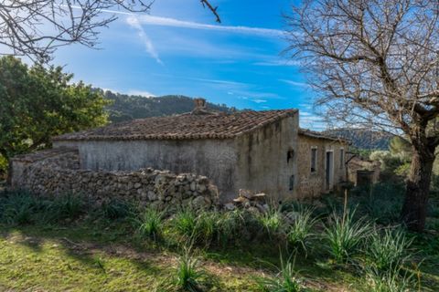 Landejendom i Alaro, Mallorca, Alaro - € 2.200.000 | Ref: 5409 - foto 4