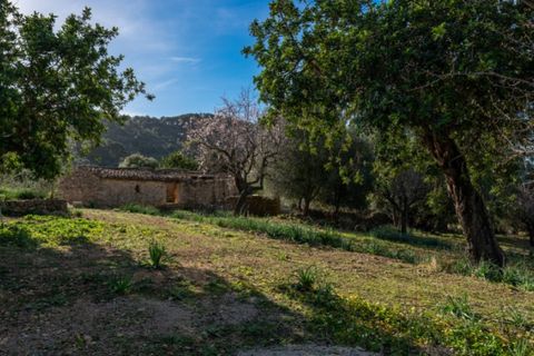 Landejendom i Alaro, Mallorca, Alaro - € 2.200.000 | Ref: 5409 - foto 5