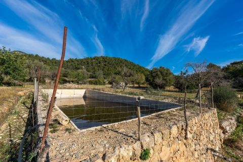 Landejendom i Alaro, Mallorca, Alaro - € 2.200.000 | Ref: 5409 - foto 7