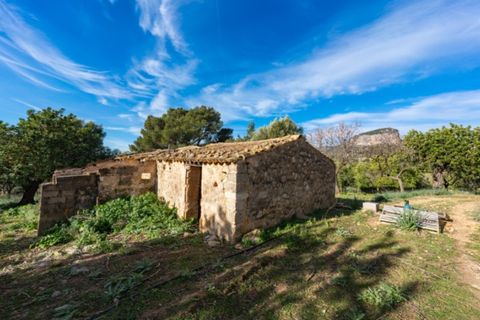 Landejendom i Alaro, Mallorca, Alaro - € 2.200.000 | Ref: 5409 - foto 8