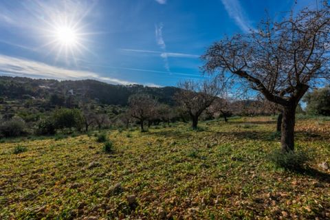 Landejendom i Alaro, Mallorca, Alaro - € 2.200.000 | Ref: 5409 - foto 11