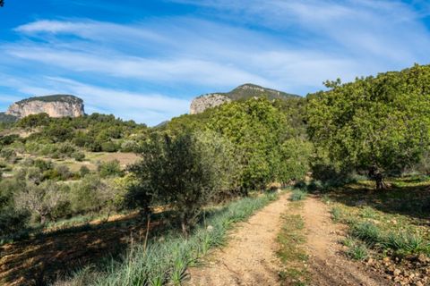 Landejendom i Alaro, Mallorca, Alaro - € 2.200.000 | Ref: 5409 - foto 13