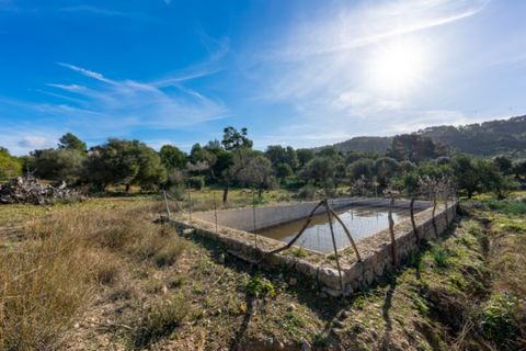 Landejendom i Alaro, Mallorca, Alaro - € 2.200.000 | Ref: 5409 - foto 14