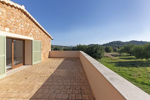 Landejendom i Alaro, Mallorca, Alaro - € 3.200.000 | Ref: 5344 - foto 13