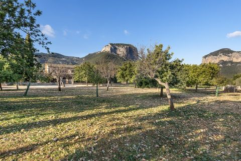 Landejendom i Alaro, Mallorca, Alaro - € 6.500.000 | Ref: 5343 - foto 2