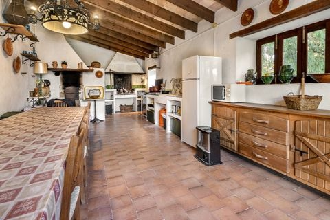 Landejendom i Alaro, Mallorca, Alaro - € 6.500.000 | Ref: 5343 - foto 14