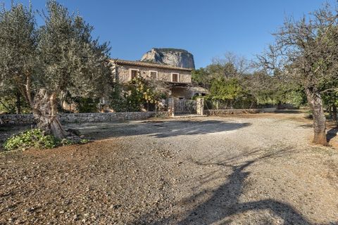 Landejendom i Alaro, Mallorca, Alaro - € 6.500.000 | Ref: 5343 - foto 29