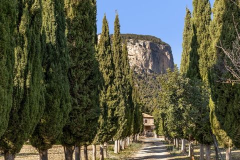 Landejendom i Alaro, Mallorca, Alaro - € 6.500.000 | Ref: 5343 - foto 30