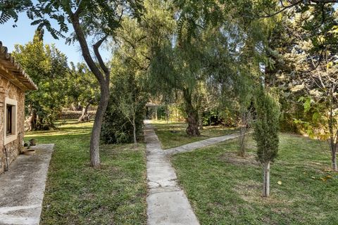 Landejendom i Alaro, Mallorca, Alaro - € 6.500.000 | Ref: 5343 - foto 31