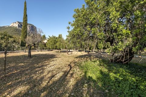 Landejendom i Alaro, Mallorca, Alaro - € 6.500.000 | Ref: 5343 - foto 32
