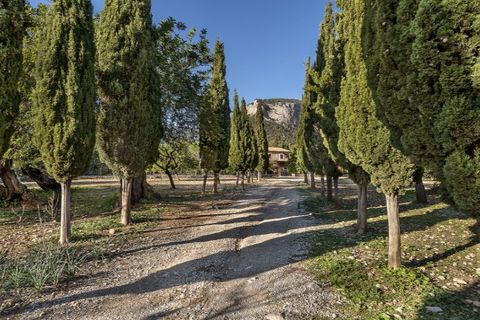 Landejendom i Alaro, Mallorca, Alaro - € 6.500.000 | Ref: 5343 - foto 33