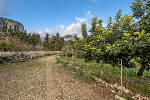 Landejendom i Alaro, Mallorca, Alaro - € 6.500.000 | Ref: 5343 - foto 39