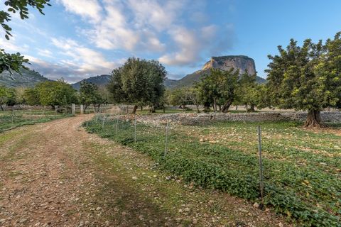 Landejendom i Alaro, Mallorca, Alaro - € 6.500.000 | Ref: 5343 - foto 40