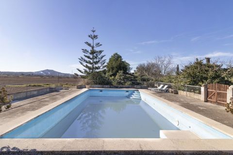 Landejendom i Ariany, Mallorca, Ariany - € 1.900.000 | Ref: 5322 - foto 4