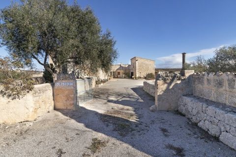 Landejendom i Ariany, Mallorca, Ariany - € 1.900.000 | Ref: 5322 - foto 18