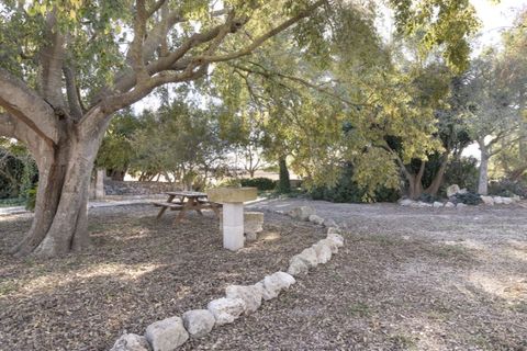 Landejendom i Ariany, Mallorca, Ariany - € 1.900.000 | Ref: 5322 - foto 20