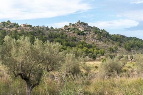 Villa i Valldemosa, Mallorca, Valldemosa - € 830.000 | Ref: 5296 - foto 24