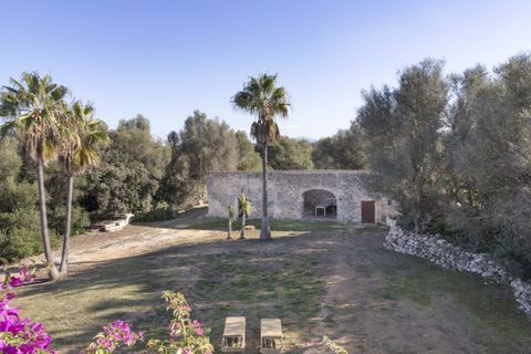 Landejendom i Muro, Mallorca, Muro - € 1.390.000 | Ref: 5282 - foto 16