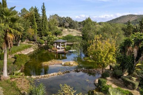 Landejendom i Establiments, Mallorca, Establiments - € 24.500.000 | Ref: 5223 - foto 21