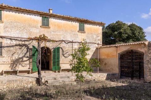 Landejendom i Algaida, Mallorca, Algaida - € 4.400.000 | Ref: 5211 - foto 5