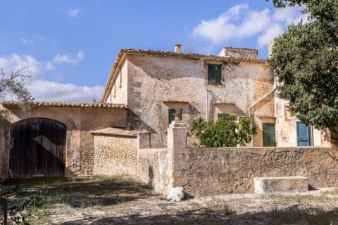 Landejendom i Algaida, Mallorca, Algaida - € 4.400.000 | Ref: 5211 - foto 16