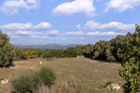 Landejendom i Algaida, Mallorca, Algaida - € 4.400.000 | Ref: 5211 - foto 18