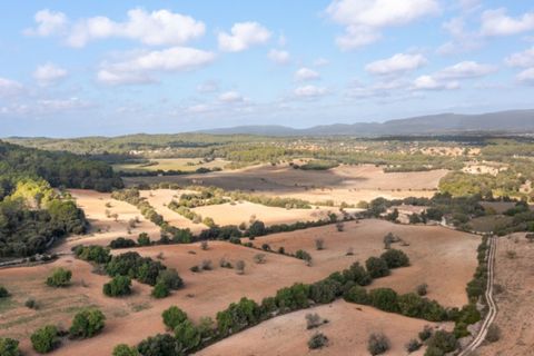 Landejendom i Algaida, Mallorca, Algaida - € 4.400.000 | Ref: 5211 - foto 19