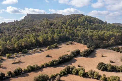 Landejendom i Algaida, Mallorca, Algaida - € 4.400.000 | Ref: 5211 - foto 21