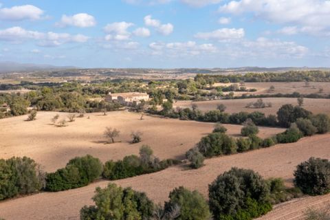 Landejendom i Algaida, Mallorca, Algaida - € 4.400.000 | Ref: 5211 - foto 22