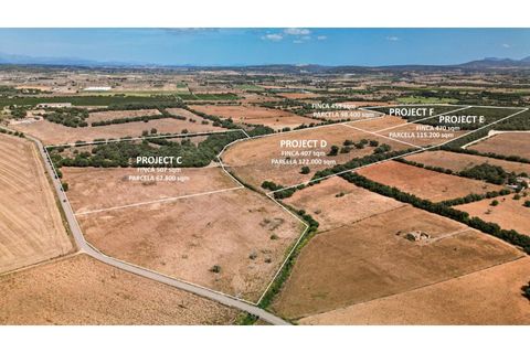 Landejendom i Manacor, Mallorca, Manacor - € 3.210.000 | Ref: 5066 - foto 18