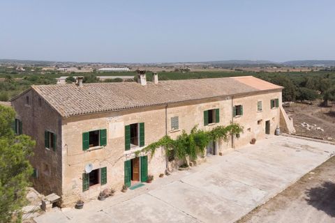 Landejendom i Manacor, Mallorca, Manacor - € 4.200.000 | Ref: 5057 - foto 2