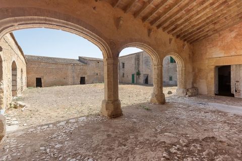 Landejendom i Manacor, Mallorca, Manacor - € 4.200.000 | Ref: 5057 - foto 17
