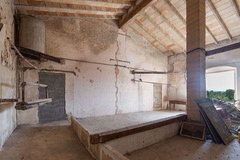 Landejendom i Manacor, Mallorca, Manacor - € 4.200.000 | Ref: 5057 - foto 18