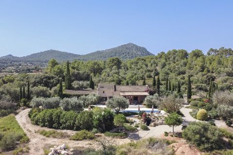 Masia a Algaida, Mallorca, Algaida - € 3.500.000 | Ref: 5030 - foto 6