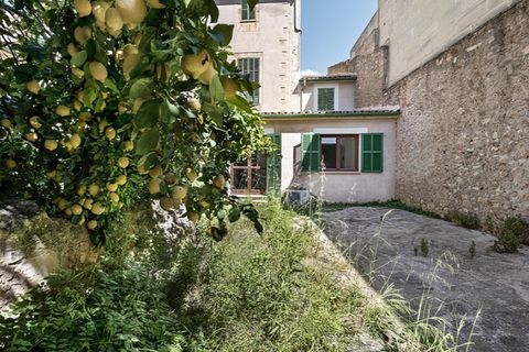 Villa en Campos, Mallorca, Campos - € 1.295.000 | Ref: 6413 - photo 2