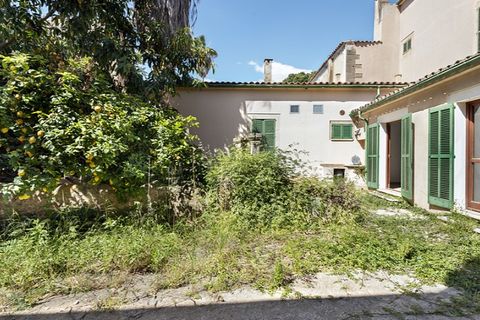Villa en Campos, Mallorca, Campos - € 1.295.000 | Ref: 6413 - photo 4