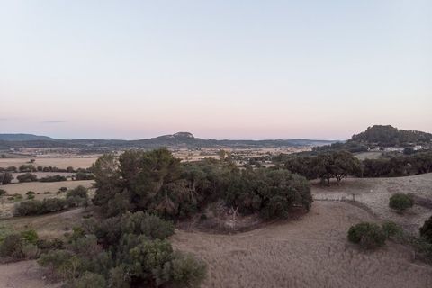 Landejendom i Sineu, Mallorca, Sineu - € 7.900.000 | Ref: 4916 - foto 12