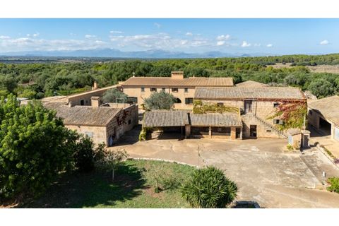Landejendom i Arta, Mallorca, Arta - € 6.400.000 | Ref: 6820 - foto 2