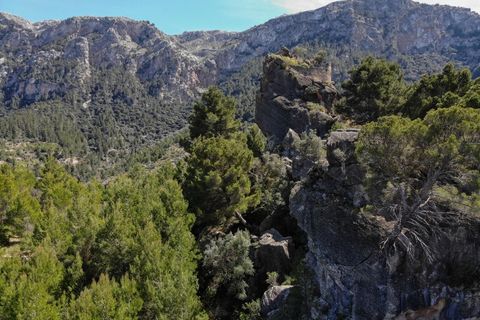 Landejendom i Deia, Mallorca, Deia - € 3.000.000 | Ref: 4753 - foto 4