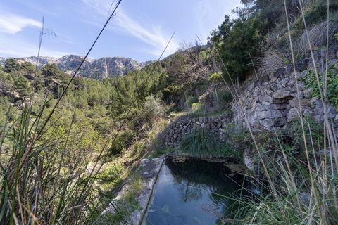Landejendom i Deia, Mallorca, Deia - € 3.000.000 | Ref: 4753 - foto 7