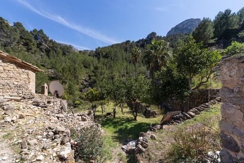 Landejendom i Deia, Mallorca, Deia - € 3.000.000 | Ref: 4753 - foto 9