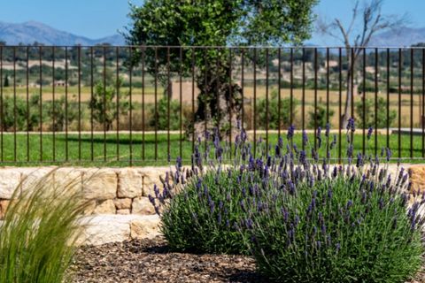 Landejendom i Sineu, Mallorca, Sineu - € 2.400.000 | Ref: 4651 - foto 2