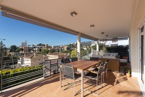 Villa a La Bonanova, Mallorca, La Bonanova - € 2.000.000 | Ref: 4549 - foto 18