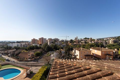 Villa a La Bonanova, Mallorca, La Bonanova - € 2.000.000 | Ref: 4549 - foto 19