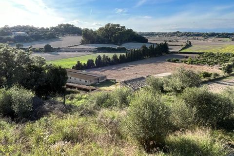 Landejendom i Sineu, Mallorca, Sineu - € 1.100.000 | Ref: 4522 - foto 2
